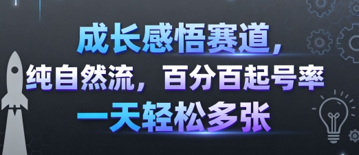 成长感悟赛道，纯自然流，百分百起号率 一天轻松多张-万盟网