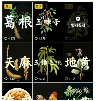 抖音中草药赛道，用AI做中草药故事视频，45条作品涨粉13W，橱窗带货猛猛出单-万盟网