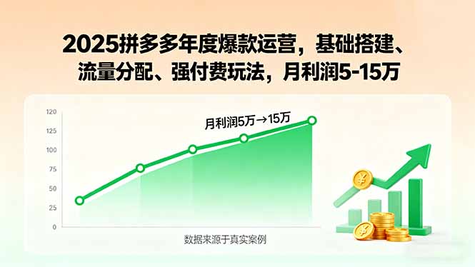 2025拼多多年度爆款运营，基础搭建、流量分配、强付费玩法，月利润5-15万-万盟网