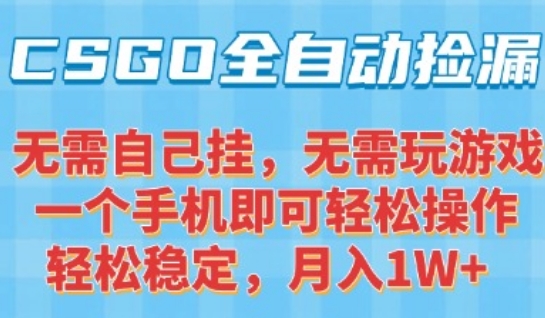 CSGO自动捡漏项目，最新独家玩法，一个手机可操作，新手小白轻松月入1W+，操作简单易上手【揭秘】-万盟网