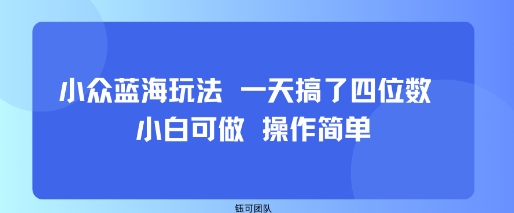 小众蓝海玩法 一天搞了四位数 小白可做 操作简单-万盟网